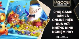 Chơi Game Bắn Cá Online Hiệu Quả Với Những Kinh Nghiệm Hay